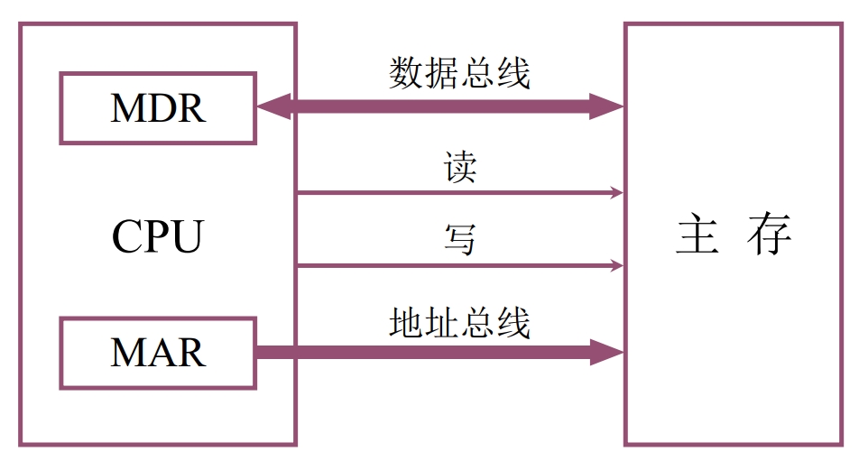 主存和 CPU 的联系