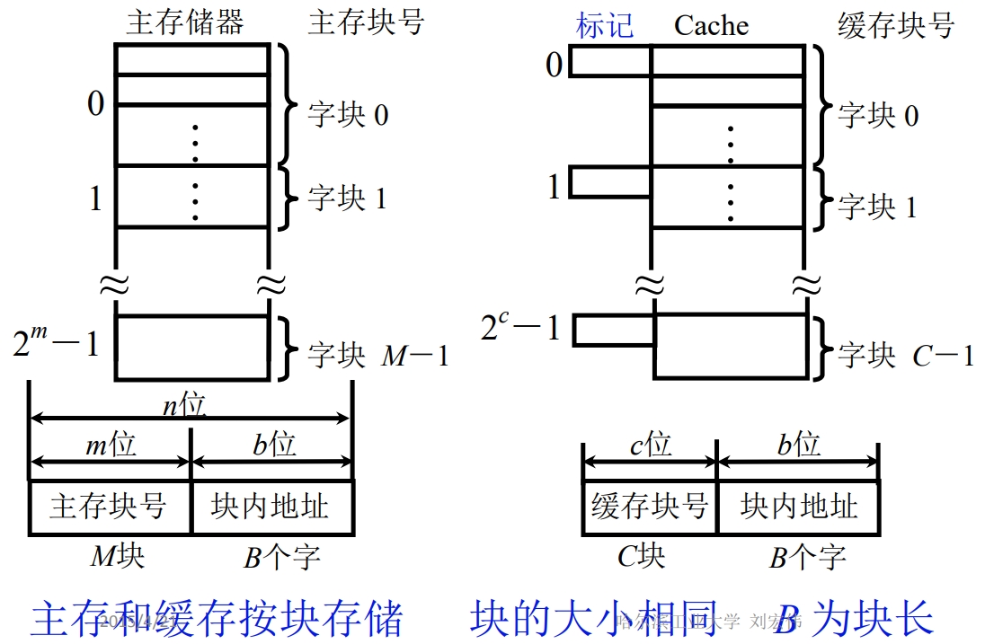 主存和缓存的编址